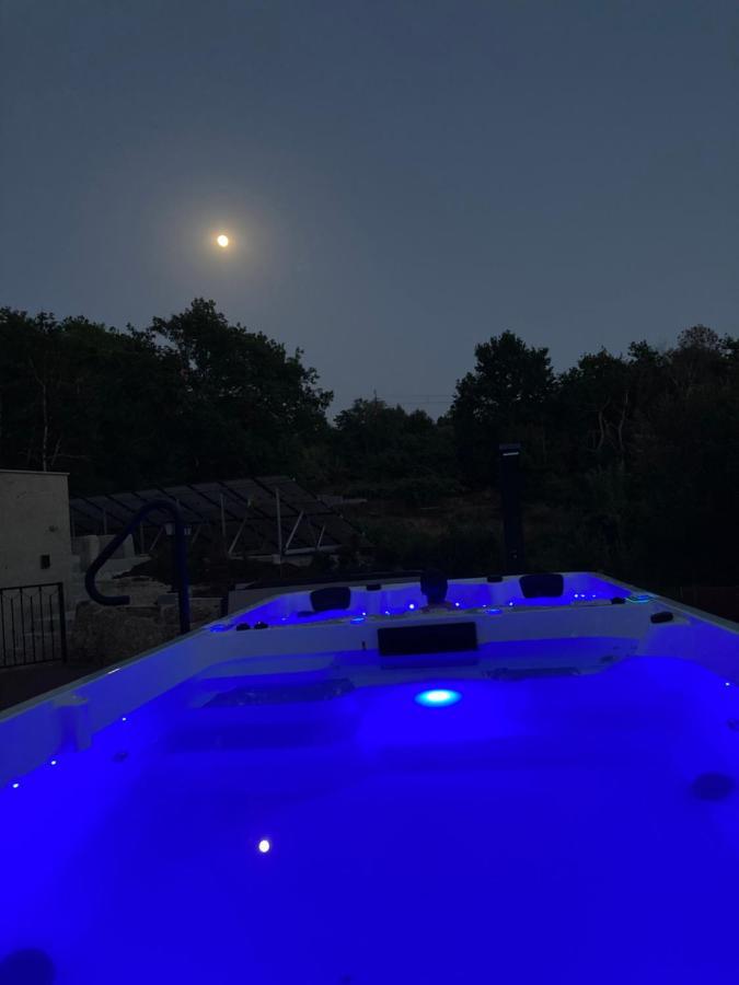 Отель Quinta Vale De Palheiros Санта-Комба-Дан Экстерьер фото